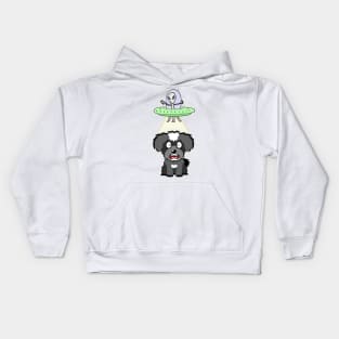 Funny miniature schnauzer is being abducted by aliens Kids Hoodie